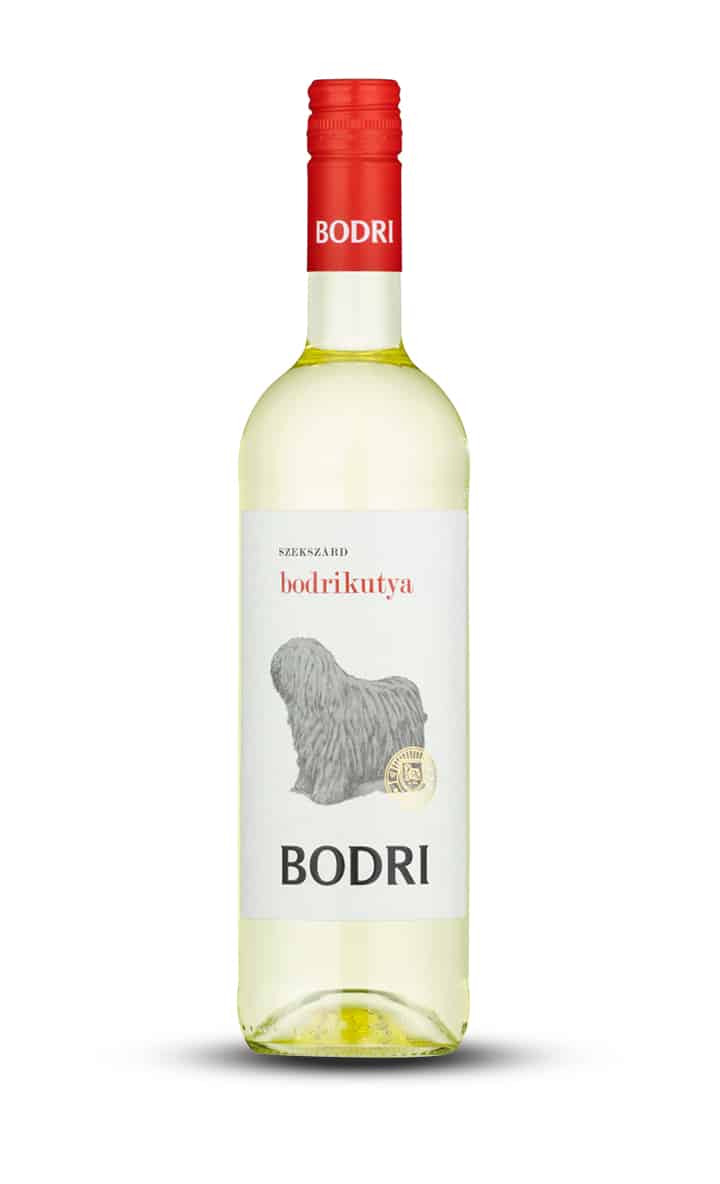 Bodri Bodrikutya